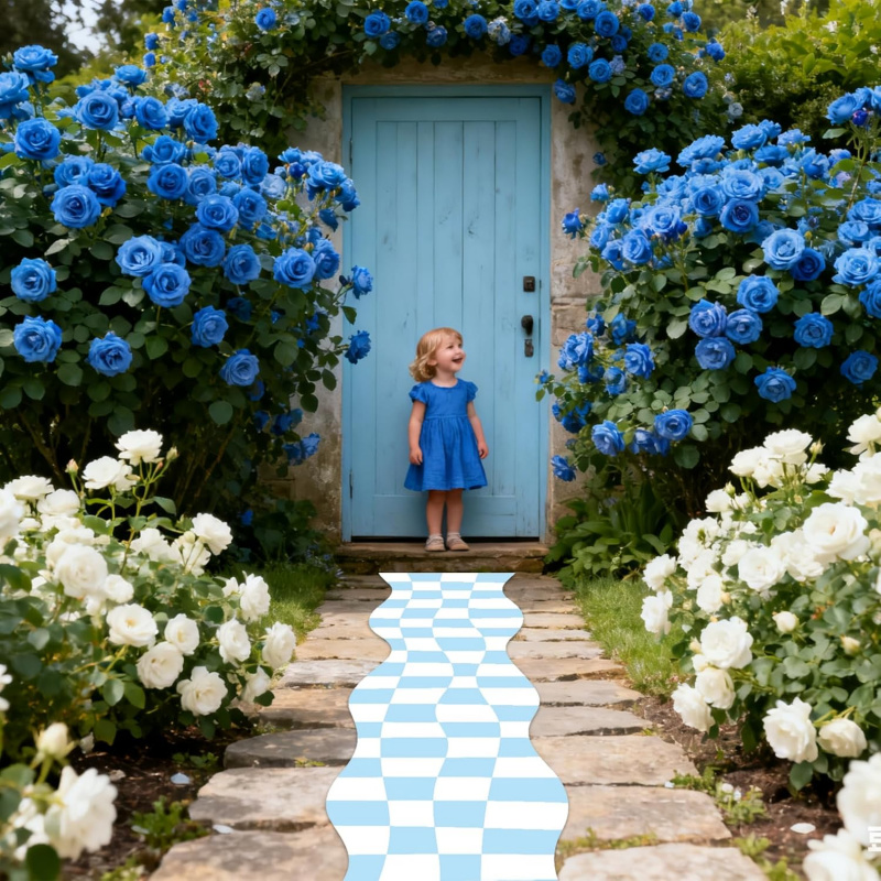 VIKAMA Checkerboard Runner Rug - Wedding Tap 评论和价格